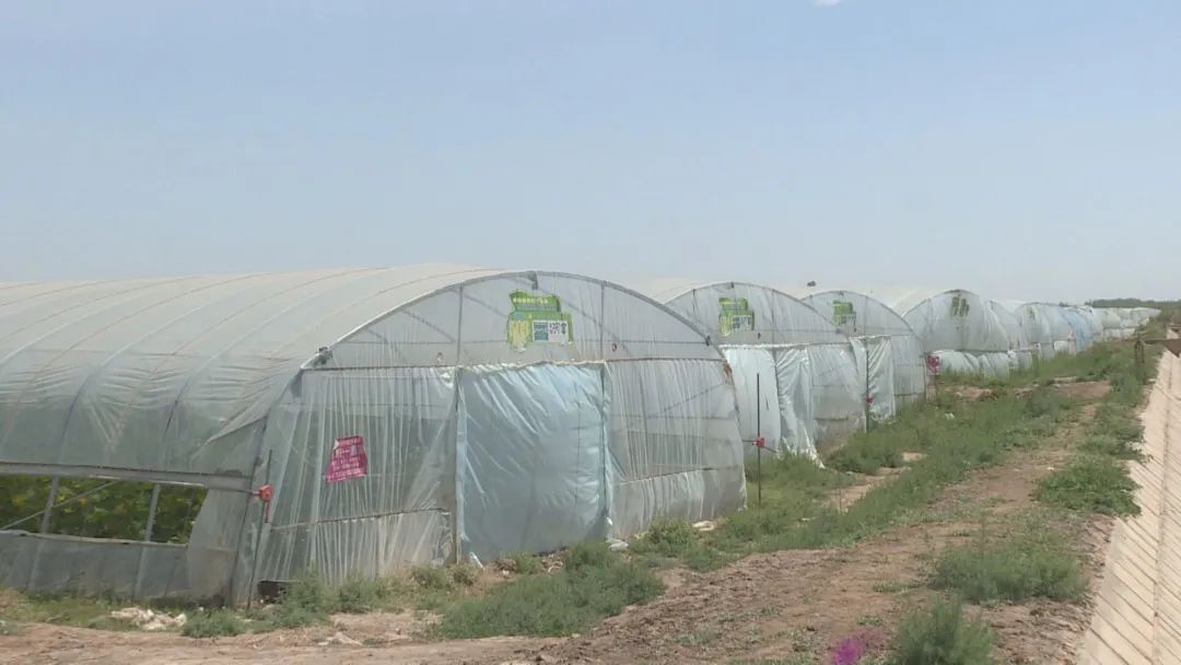 1655868103553039550.jpg 01.jpg