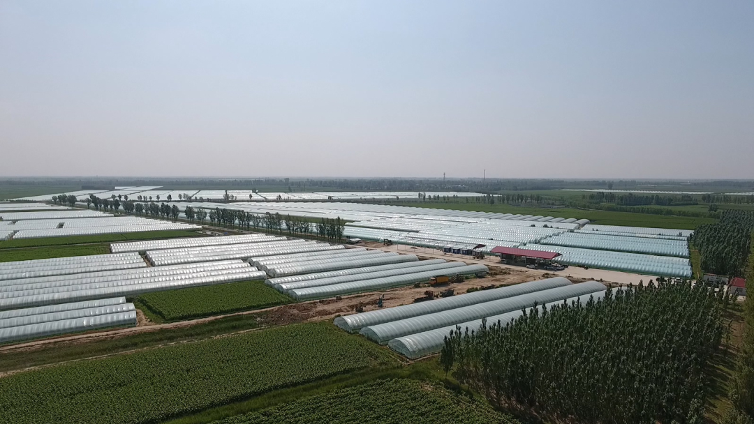 1655868196977002756.png 05.png