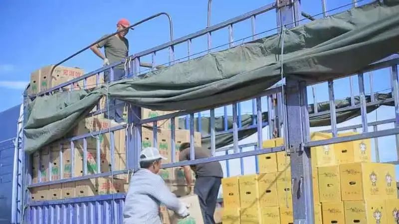 1658388692069078780.jpg 01.jpg