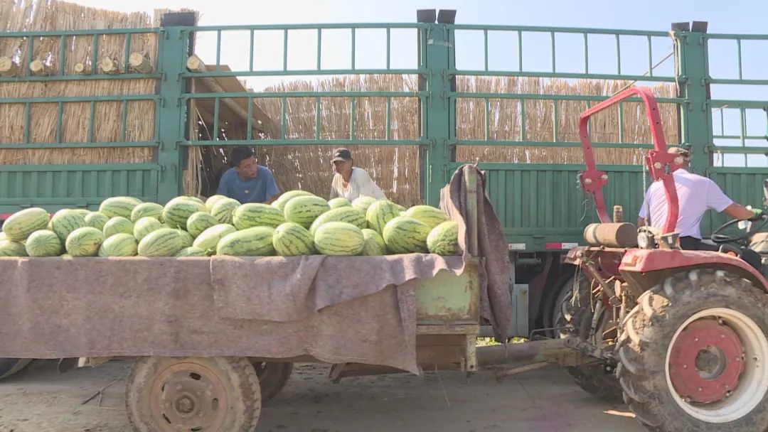 1660011464649019601.jpg 2.jpg