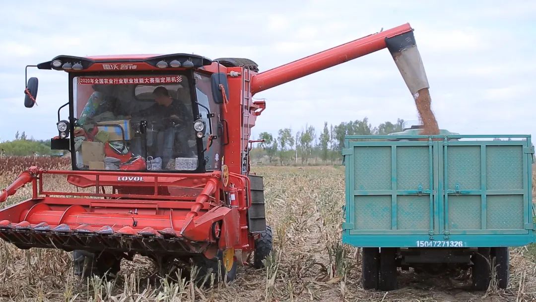 1665393835771090513.jpg 1665393835771090513.jpg