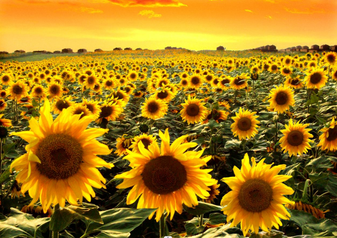 微信圖片_20251127162608.png 微信圖片_20251127162608.png