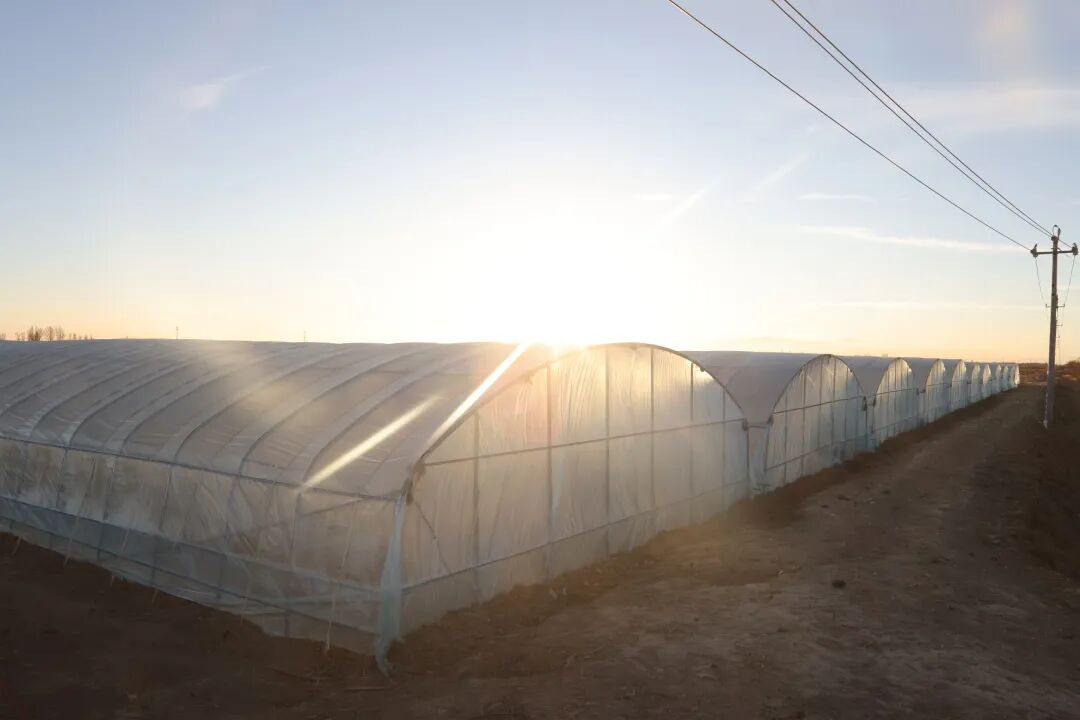 1772100978270040316.jpg bf66e09c91f1fae902aa733146892c3a.jpg