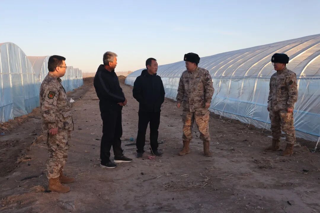 1772100996379096413.jpg 17550aa00efbfc606b726a5c45511db2.jpg