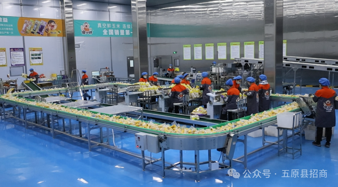 1772155086529724.png a192f044f101db2159573d1f0bfe6d2c.png