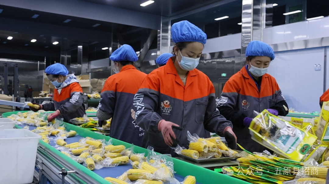 1772155119456124.png b76680b7ed17ac6259062f65b9ffd0c6.png